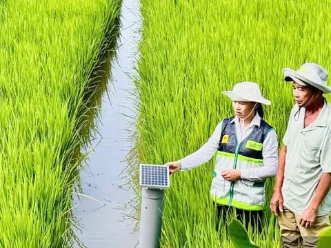 Chuẩn hóa hệ thống khuyến nông theo mô hình tinh gọn, liên thông, thống nhất