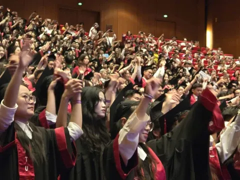 Bộ GD&ĐT tạm hoãn sắp xếp trường đại học, nghề nghiệp để chờ đề án mới