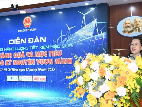 Thúc đẩy sử dụng năng lượng tiết kiệm, hiệu quả trong kỷ nguyên phát triển xanh