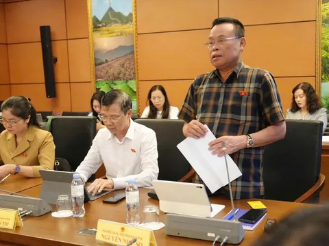 Cần có 'cơ chế đặc biệt' cho doanh nghiệp các ngành công nghiệp chiến lược