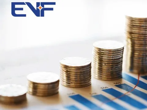 Quý 3/2025: EVF kiểm soát tốt chi phí và nâng cao hiệu quả kinh doanh