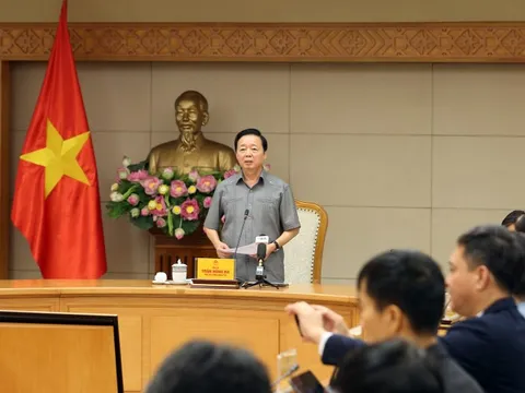 Phó Thủ tướng Trần Hồng Hà: Chủ động phương án ứng phó đa thiên tai do ảnh hưởng bão số 12