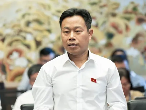 Cần có quỹ quốc gia hỗ trợ nghiên cứu, khuyến khích các nhà khoa học và khu vực tư nhân đầu tư cho phát minh, sáng chế