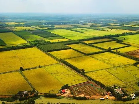 Chính phủ thông qua nội dung dự thảo về một số cơ chế, chính sách tháo gỡ khó khăn, vướng mắc trong thi hành Luật Đất đai