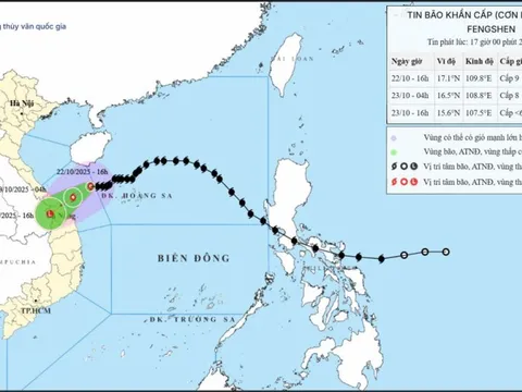 Thủ tướng chỉ đạo tập trung phòng, tránh, ứng phó mưa lũ, ngập lụt tại khu vực Trung Trung Bộ
