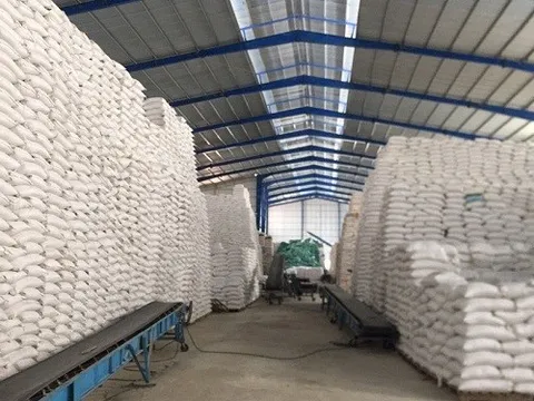 Chính phủ thông qua nội dung dự án Luật Dự trữ quốc gia (sửa đổi)