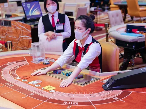 Chủ Casino Hoàng Gia tiếp tục báo lỗ