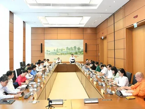 Việt Nam chỉ nên có trường đại học và đại học, nếu đại học vùng là cấp trung gian thì cần xoá bỏ