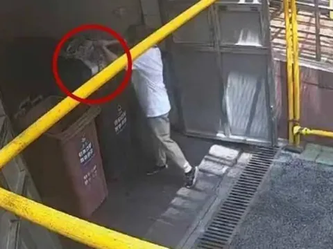 Dọn nhà giúp mẹ, cô gái vứt hộp vàng trị giá 1,8 tỷ đồng vào thùng rác