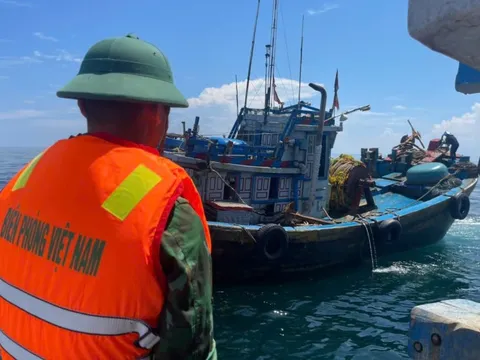 Rà soát hơn 8.000 tàu cá, Lâm Đồng quyết tâm gỡ “thẻ vàng” IUU