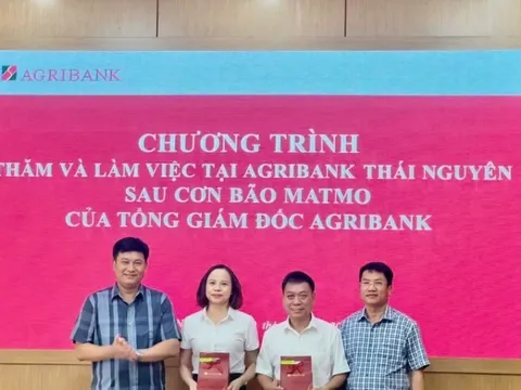 Khi ngân hàng trở thành “phao cứu sinh” giữa dòng nước lũ