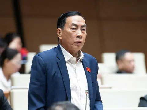 ĐBQH: Hoạt động giám sát của tổ đại biểu Hội đồng nhân dân "rất hình thức"