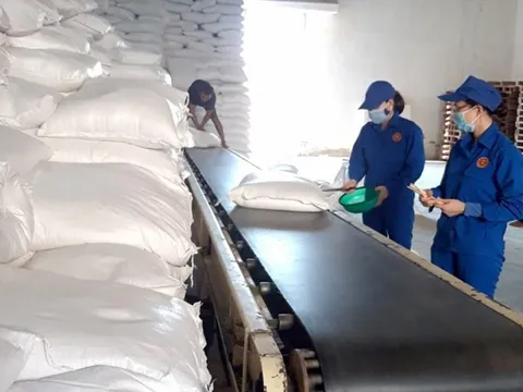 Bản tin 25/10: Bộ Tài chính xuất hơn 644 tấn gạo dự trữ hỗ trợ học sinh 3 địa phương