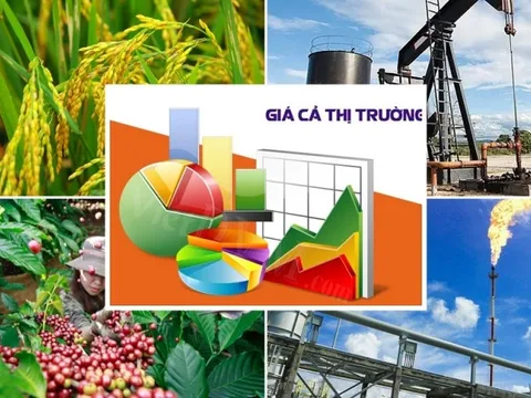 Hoàn thiện dự thảo Luật sửa đổi, bổ sung một số điều của Luật Giá đảm bảo chất lượng, đúng tiến độ