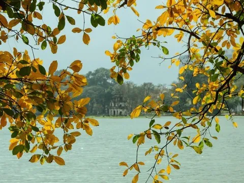 Độ trong của gió – khúc giao mùa Hà Nội