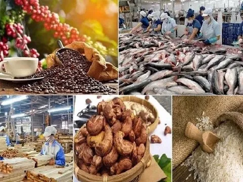 Đề xuất sửa quy định thuế GTGT lĩnh vực nông nghiệp, thức ăn chăn nuôi