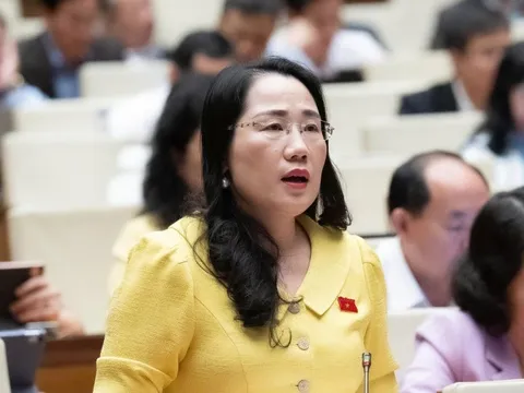 ĐBQH kiến nghị xây dựng bộ SGK tái sử dụng được nhiều năm, tránh lãng phí