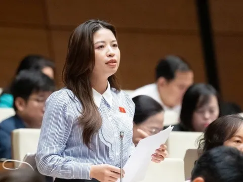 "Những giáo viên bị bạo lực phải sống trong lo sợ, dễ tổn thương"