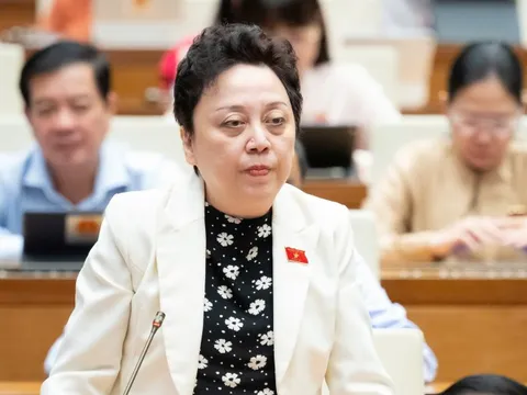 ĐBQH: Không thể cấm người hành hung nhân viên y tế đến khám, chữa bệnh