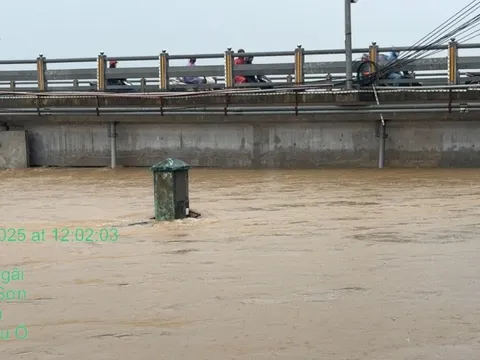 Quảng Ngãi: Nước lũ dâng cao, cấm phương tiện lưu thông qua cầu Châu Ổ