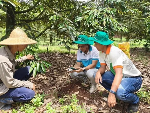 Phú Mỹ hợp tác cùng Enfarm: Bước tiến lớn trong chuyển đổi số nông nghiệp Việt Nam
