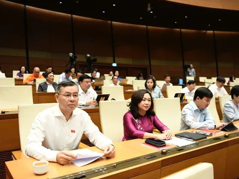 ĐBQH kiến nghị hoàn thiện chính quyền địa phương 2 cấp, cải thiện tiền lương, thu nhập cán bộ