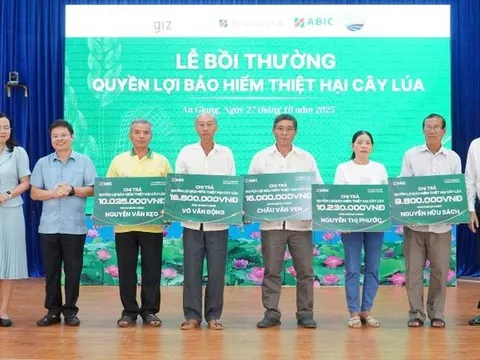 Bảo hiểm cây lúa: ‘Lá chắn’tài chính cho chuỗi sản xuất – tiêu thụ lúa gạo