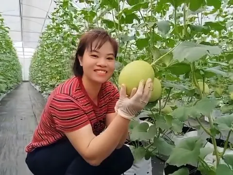 Tấm gương phụ nữ sáng tạo, nhiệt huyết sản xuất nông nghiệp sạch