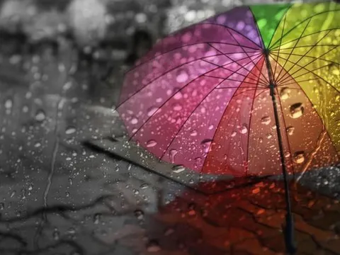 Đừng hỏi mưa rơi ở phố nào