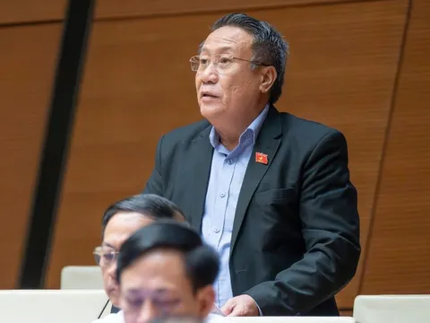 Chống thất thu gắn với nuôi dưỡng nguồn thu lâu dài