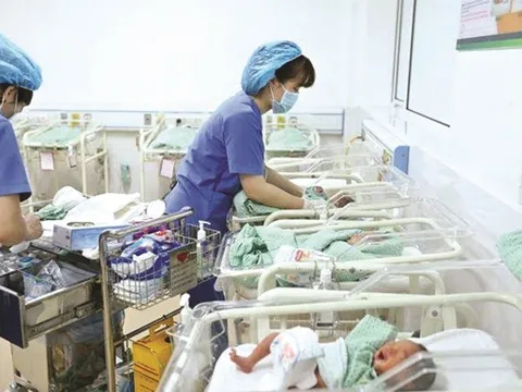 Tìm giải pháp tăng tỷ lệ khuyến sinh ở Việt Nam