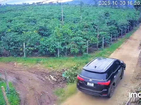 Tông người đi xe máy tử vong, tài xế lái ô tô bỏ trốn vào rẫy cà phê