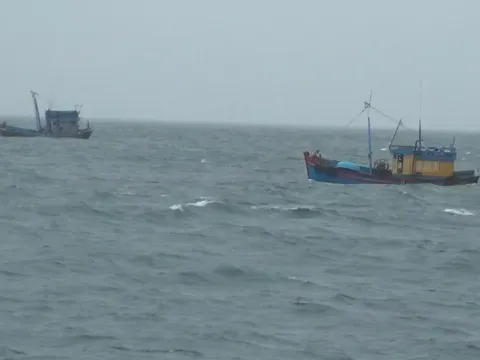 Vùng Cảnh sát biển 2 bắt giữ hai tàu cá vi phạm IUU