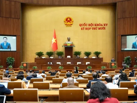 Cần một đạo luật tổng thể cho chuyển đổi số quốc gia