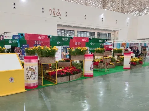 Dạo bước giữa “Tinh hoa Thu Hà Nội”: Chạm vào sắc – hương – vị của ký ức nghìn năm