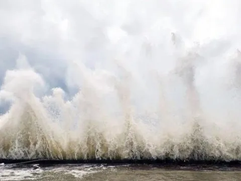 Bão Kalmaegi mạnh lên "chóng mặt", tâm điểm hướng thẳng nơi nào?
