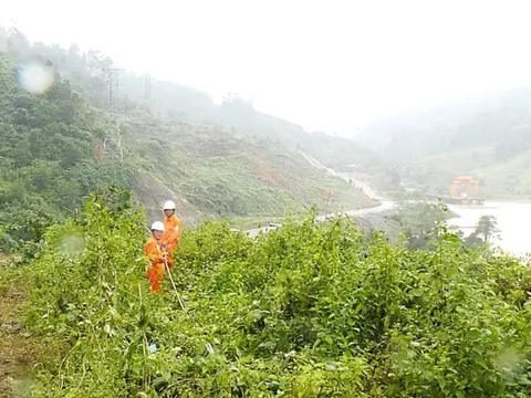 Gần 99% khách hàng miền Trung đã có điện trở lại sau lũ