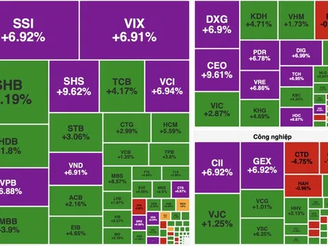 Chứng khoán thăng hoa, sắc xanh tím phủ rộng toàn thị trường