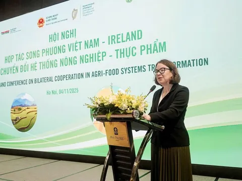 Việt Nam – Ireland hợp tác chuyển đổi hệ thống nông nghiệp – thực phẩm bền vững