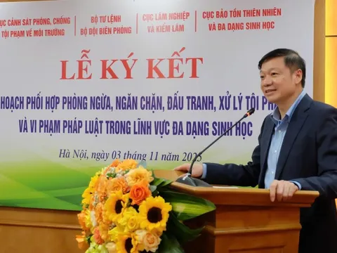 Phối hợp liên ngành bảo vệ đa dạng sinh học gắn với mục tiêu phát triển lâm nghiệp bền vững