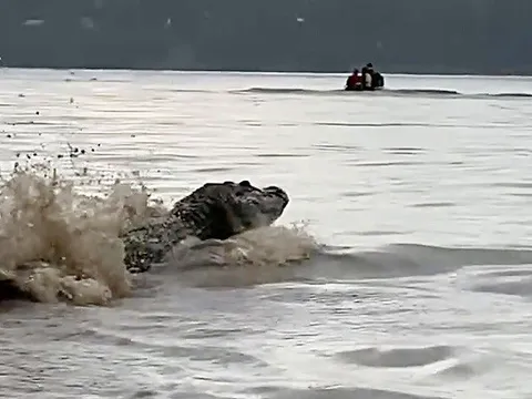 Du khách kinh hãi khi thấy thứ đáng sợ nổi lên từ dưới nước