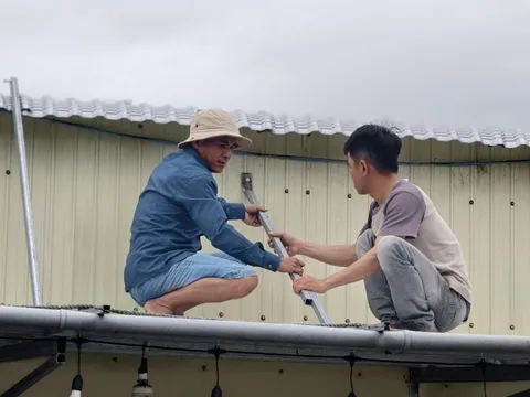 Quảng Ngãi “căng mình” trước bão số 13: Ngư dân chạy đua neo tàu, dân ven biển gia cố nhà cửa