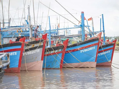 Đắk Lắk cấm biển, ngư dân hối hả tìm nơi tránh trú, neo đậu tàu, thuyền