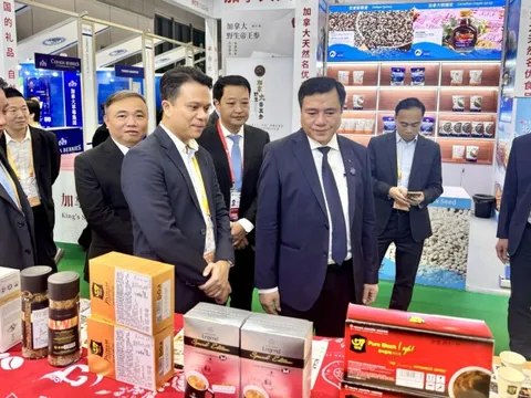 Đưa hàng Việt tiếp cận người tiêu dùng Trung Quốc qua Hội chợ CIIE 2025