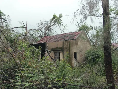 Hoang tàn “thiên đường” bên bãi biển nổi tiếng Hà Tĩnh