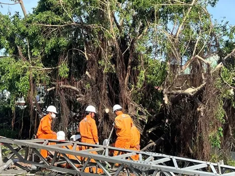 Hơn 1,6 triệu khách hàng bị mất điện do ảnh hưởng của bão số 13