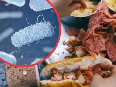 Xác định nguyên nhân khiến hơn 80 người ngộ độc sau khi ăn bánh mì