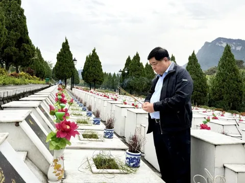 Phó Thủ tướng Nguyễn Chí Dũng dâng hương tưởng nhớ các liệt sĩ tại nghĩa trang Vị Xuyên