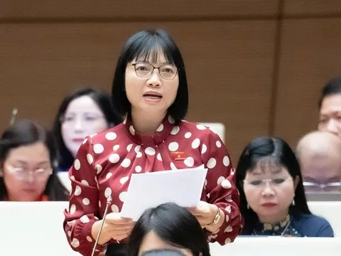 ĐBQH: Chính sách nghỉ thai sản cần hướng đến sự linh hoạt hơn