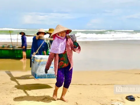 Ngư dân Quảng Ngãi vượt sóng dữ săn "lộc biển" mùa biển động